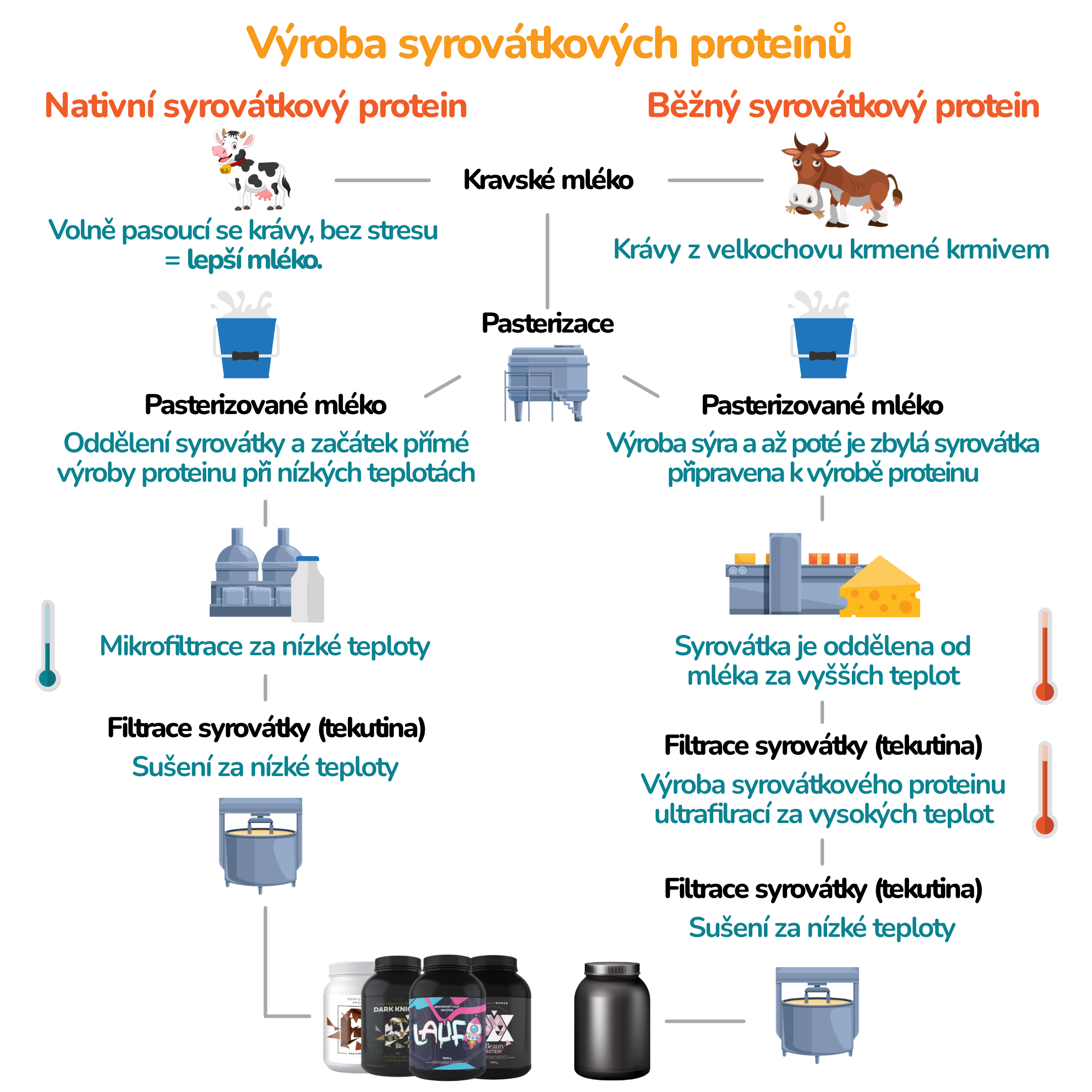 Produkcja białka_bez tła_cz